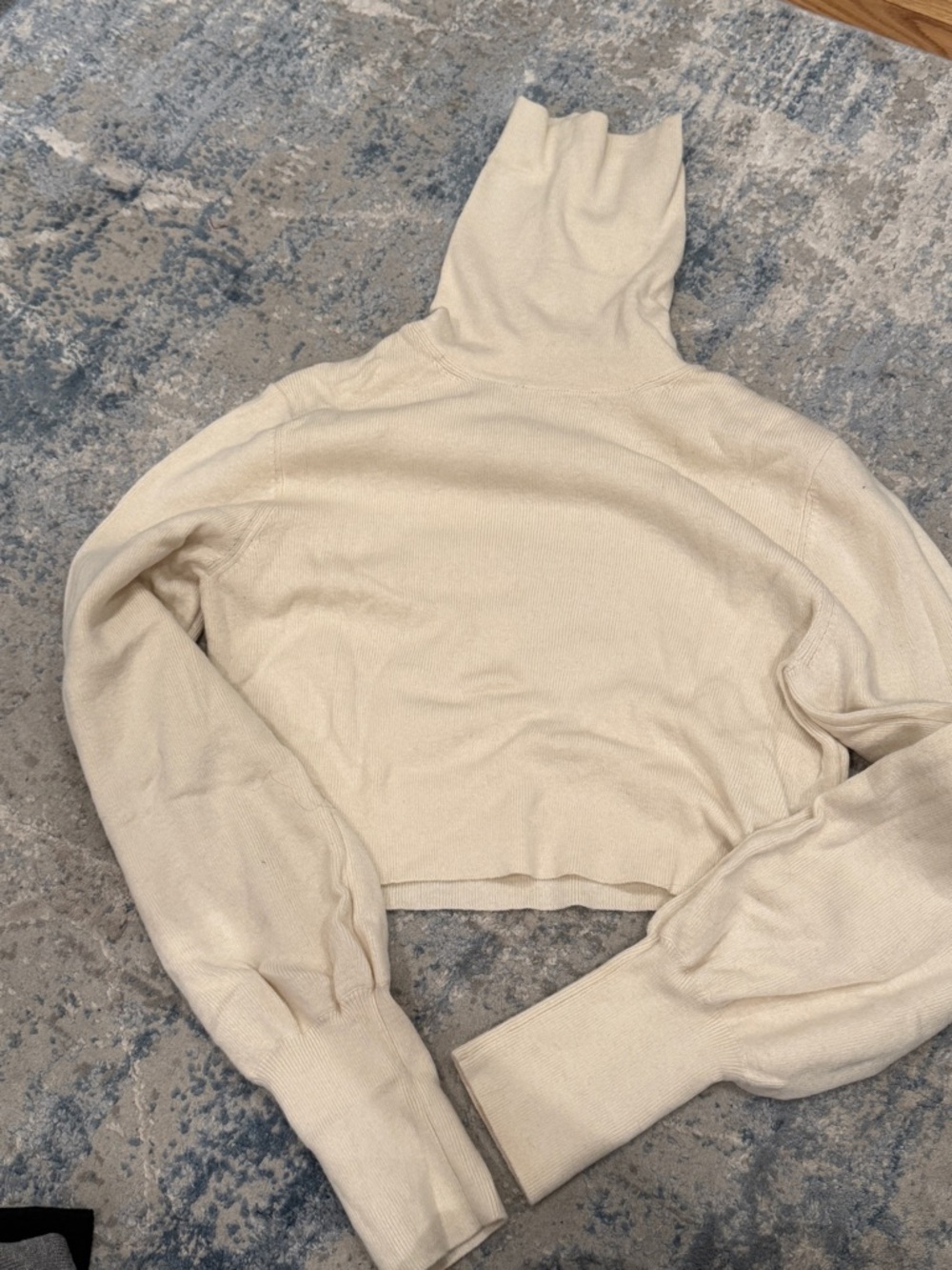 Aritzia Cropped Turtleneck Long-Sleeve Top